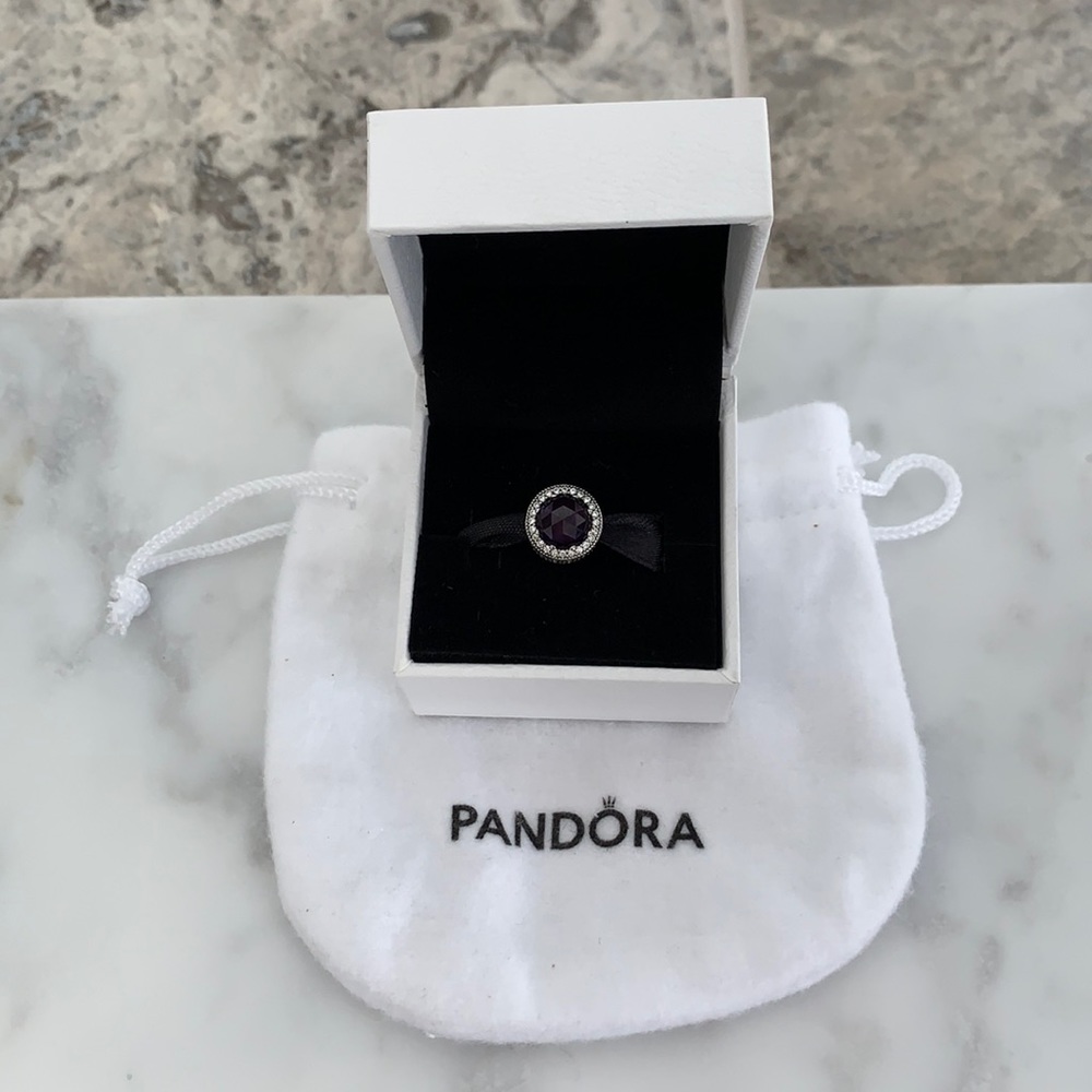 NWT Pandora Charm